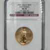 American Eagle Gold Coin Set - 88