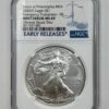 Silver Eagle Coins - 49