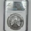 Silver Eagle Coins - 49 - Image 3