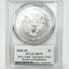 Silver Eagle Coins - 71